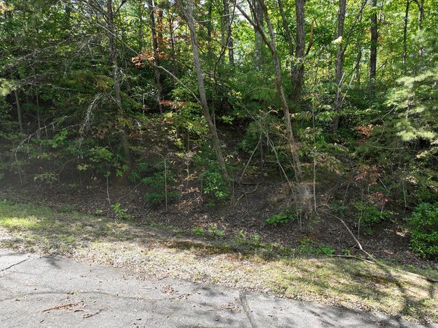 123 Edinborough Court, Ellijay, GA 30536