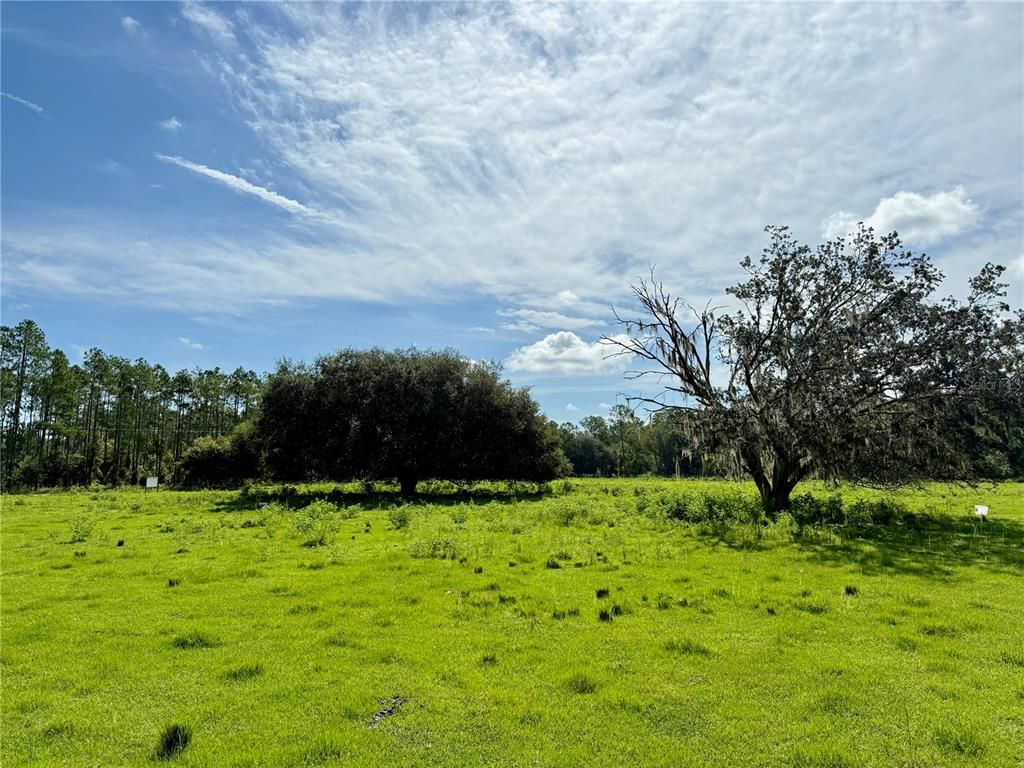 10460 EHREN CUTOFF, Land O Lakes, FL 34639