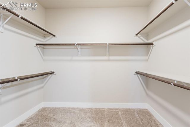 5301 Silverstone Terrace, Colorado Springs, CO 80919