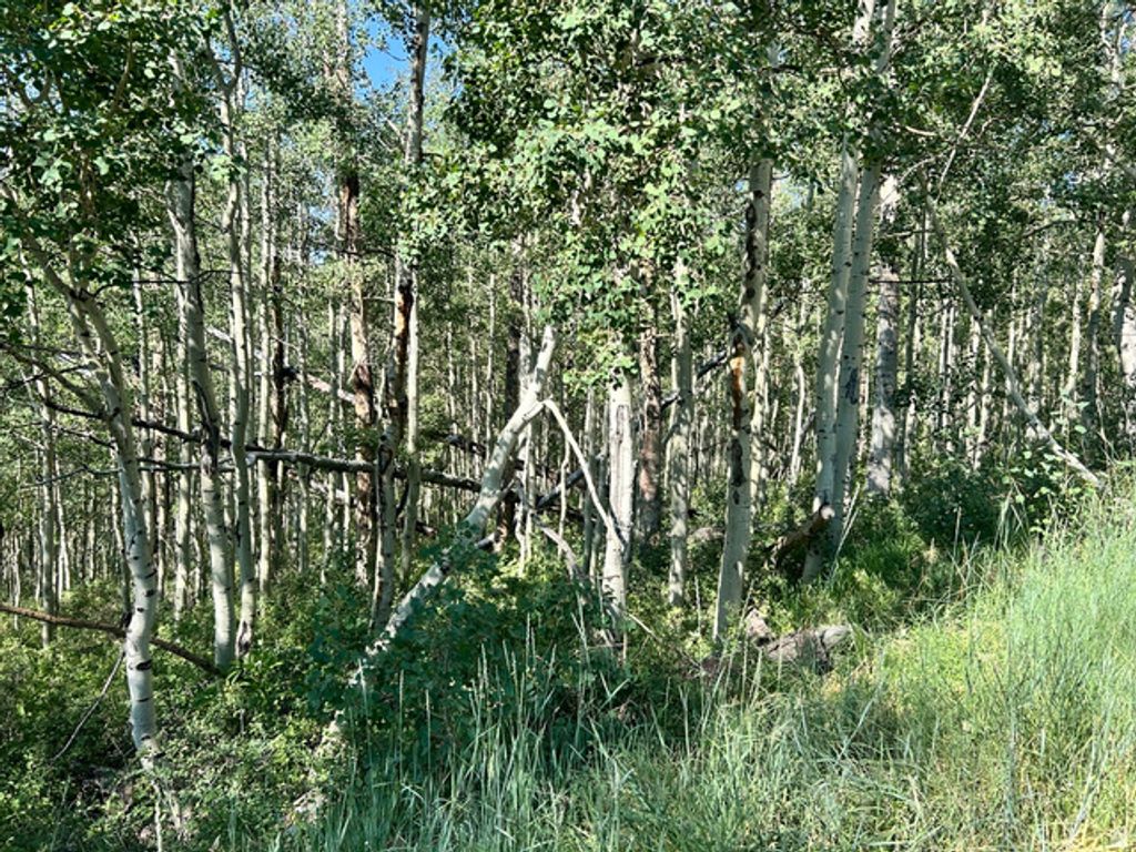 5475 N HIDDEN WAY # 37, Midway, UT 84049 — photo 3