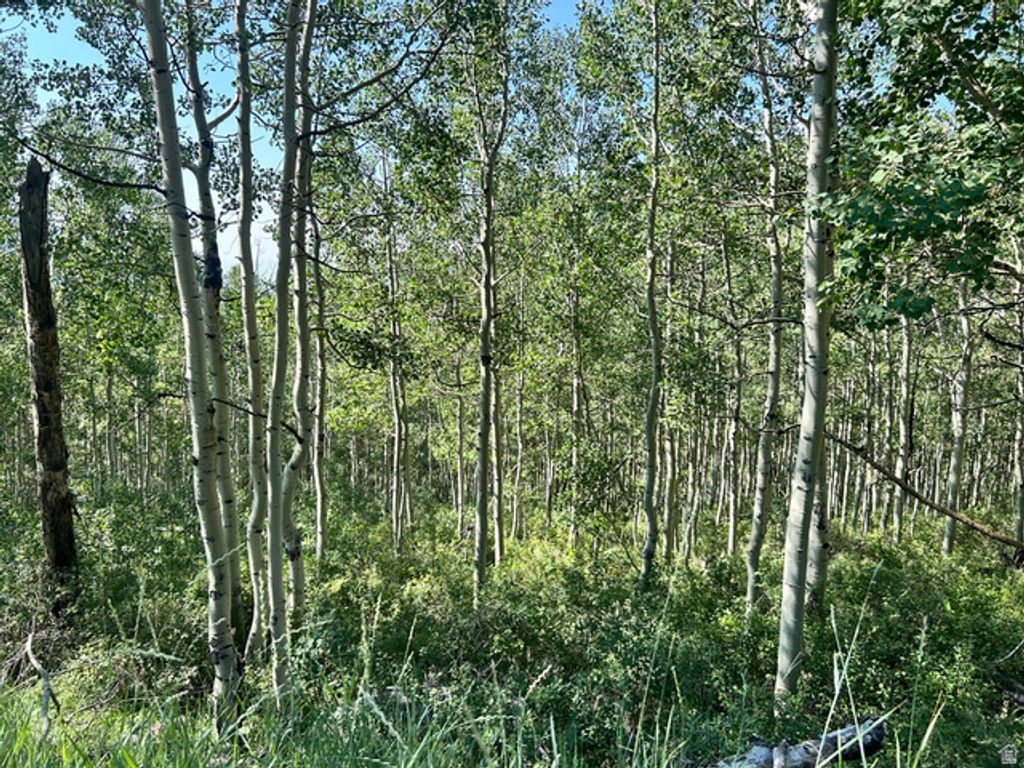 5475 N HIDDEN WAY # 37, Midway, UT 84049 — photo 4