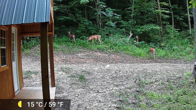 339 Cow Creek Road, Ravenna, KY 40472