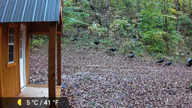 339 Cow Creek Road, Ravenna, KY 40472