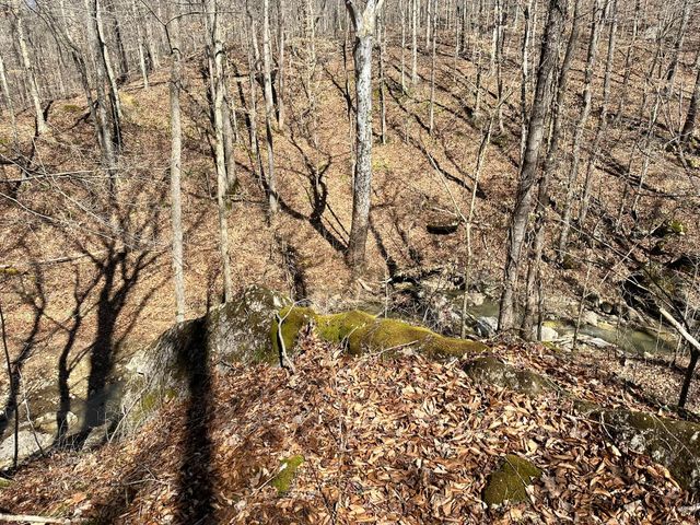 339 Cow Creek Road, Ravenna, KY 40472