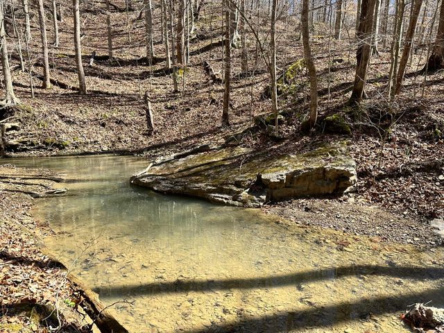 339 Cow Creek Road, Ravenna, KY 40472