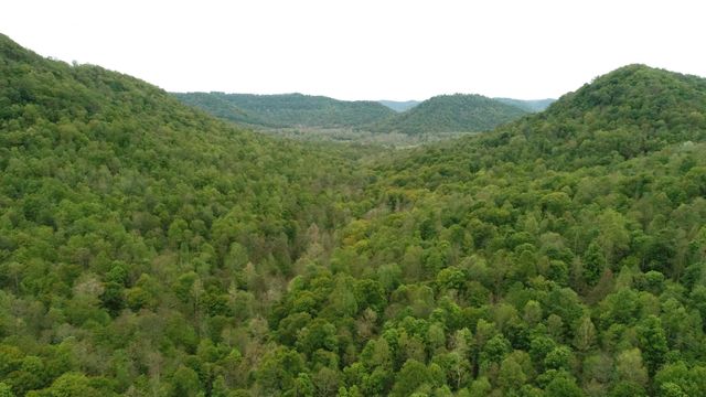 339 Cow Creek Road, Ravenna, KY 40472