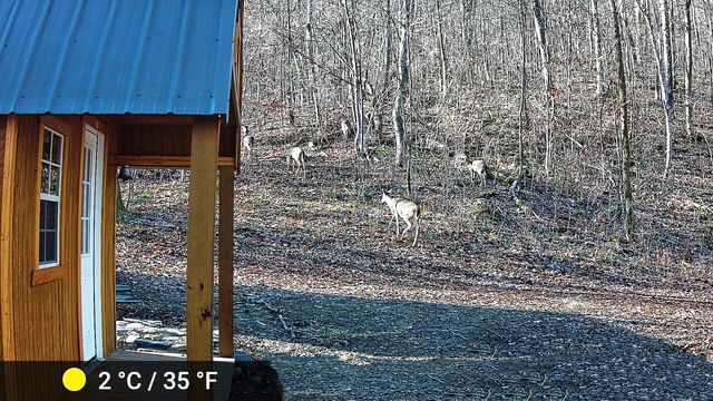 339 Cow Creek Road, Ravenna, KY 40472