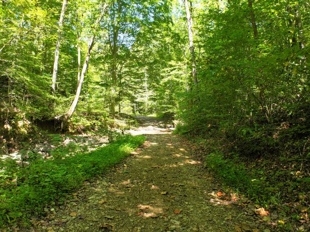 339 Cow Creek Road, Ravenna, KY 40472