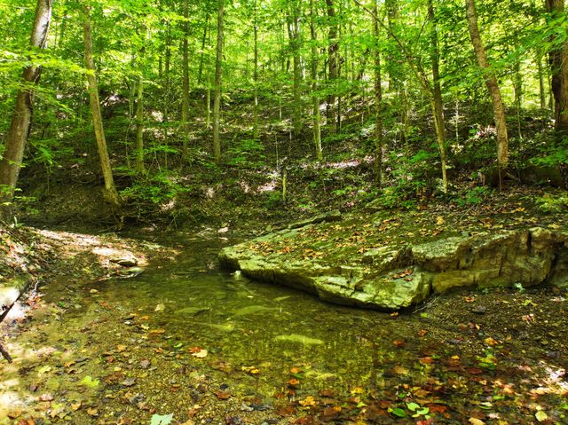 339 Cow Creek Road, Ravenna, KY 40472
