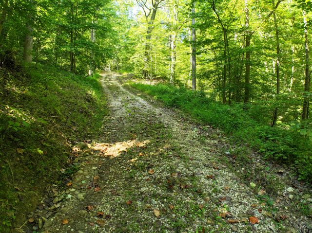 339 Cow Creek Road, Ravenna, KY 40472