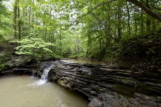 339 Cow Creek Road, Ravenna, KY 40472