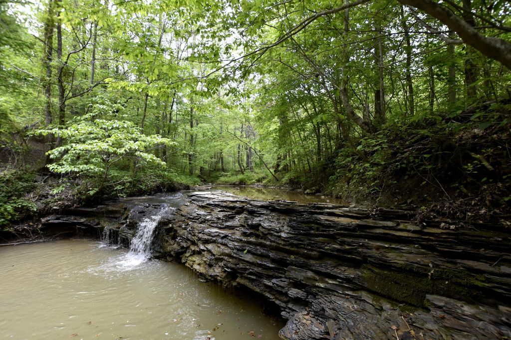 339 Cow Creek Road, Ravenna, KY 40472