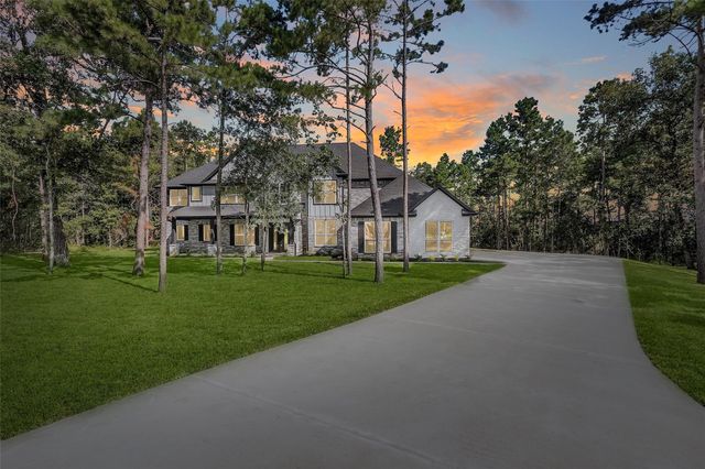 8604 Trinity Pines Court, Montgomery, TX 77316