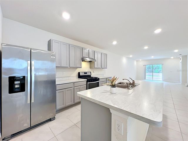 20029 ROYAL TERN COURT, Leesburg, FL 34748