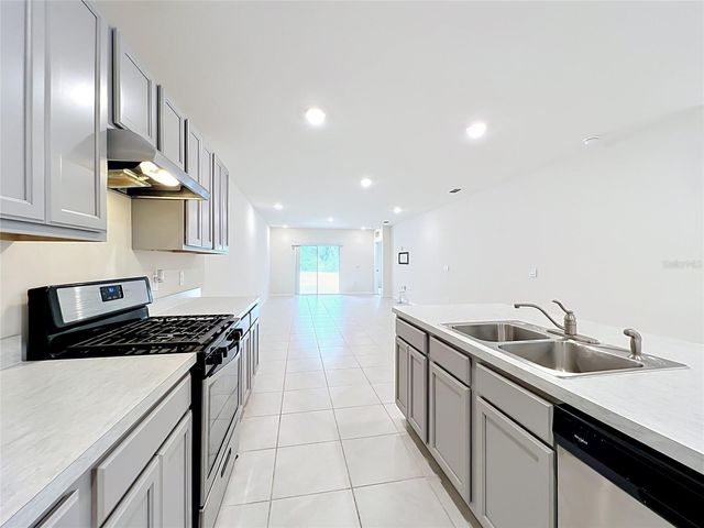 20029 ROYAL TERN COURT, Leesburg, FL 34748