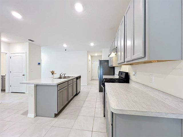 20029 ROYAL TERN COURT, Leesburg, FL 34748