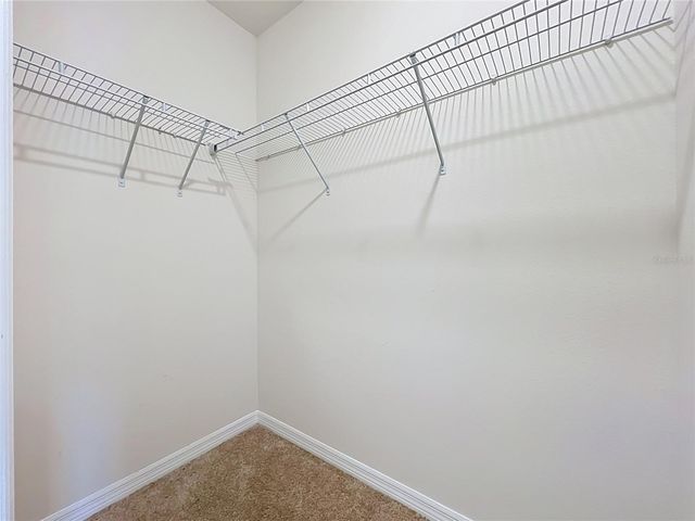 20029 ROYAL TERN COURT, Leesburg, FL 34748