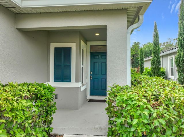 20029 ROYAL TERN COURT, Leesburg, FL 34748