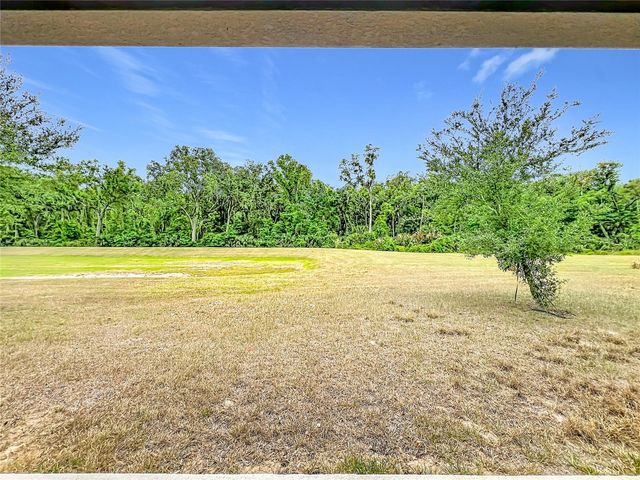 20029 ROYAL TERN COURT, Leesburg, FL 34748