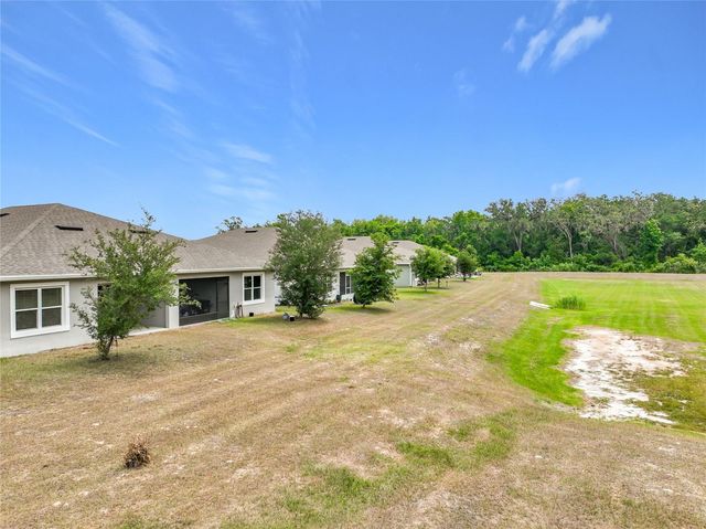 20029 ROYAL TERN COURT, Leesburg, FL 34748