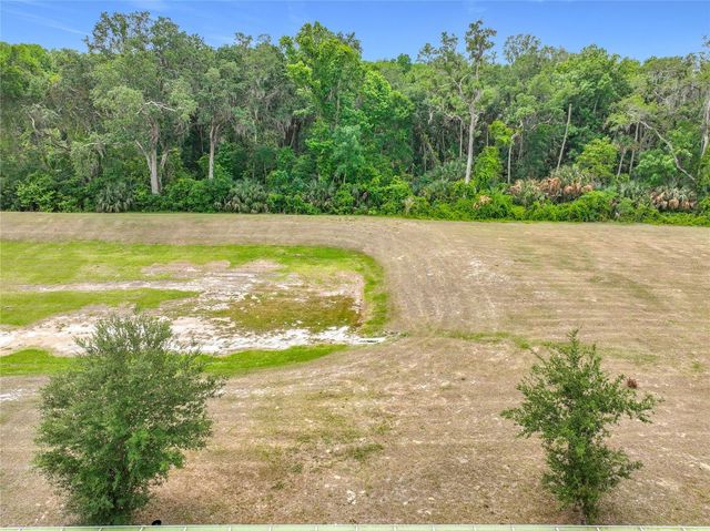 20029 ROYAL TERN COURT, Leesburg, FL 34748