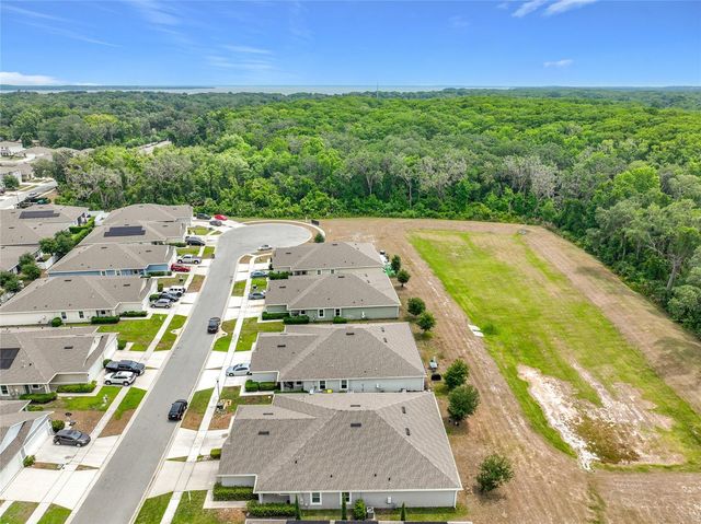 20029 ROYAL TERN COURT, Leesburg, FL 34748