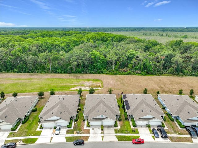 20029 ROYAL TERN COURT, Leesburg, FL 34748