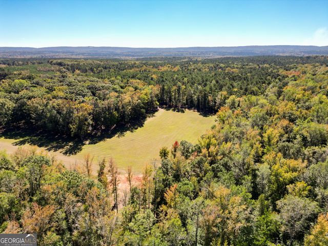 186 Beech Springs Road, Pine Mountain, GA 31822