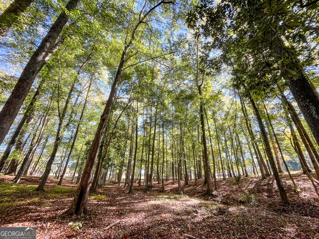 186 Beech Springs Road, Pine Mountain, GA 31822