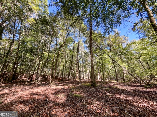186 Beech Springs Road, Pine Mountain, GA 31822
