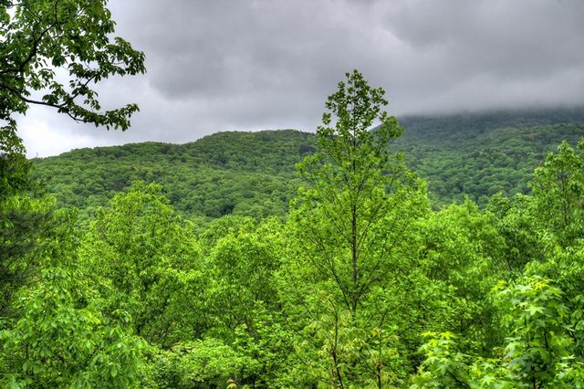 1582 Little Rock Creek Road, Cherry Log, GA 30522