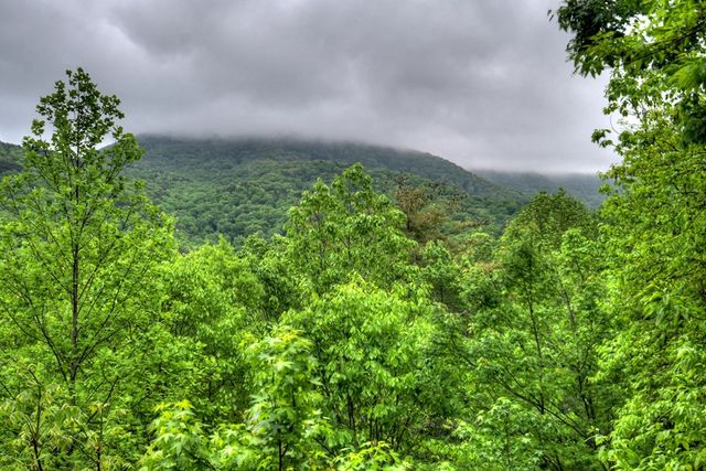 1582 Little Rock Creek Road, Cherry Log, GA 30522