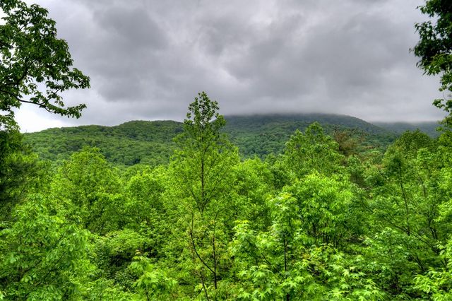 1582 Little Rock Creek Road, Cherry Log, GA 30522