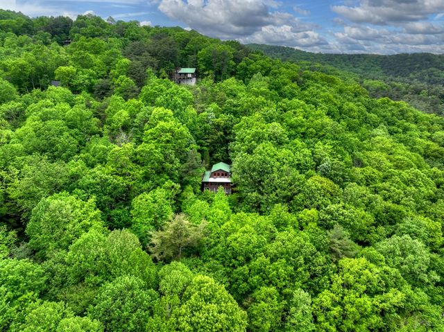 1582 Little Rock Creek Road, Cherry Log, GA 30522
