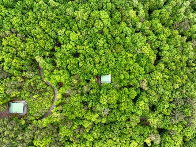 1582 Little Rock Creek Road, Cherry Log, GA 30522