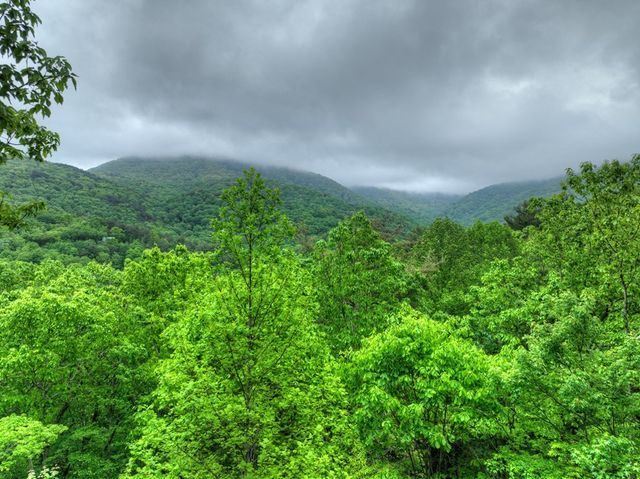1582 Little Rock Creek Road, Cherry Log, GA 30522