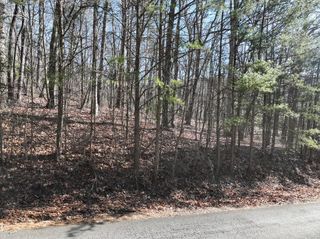 57 St Andrews Way, Ellijay, GA 30536