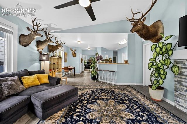 3025 Pier Point, Colorado Springs, CO 80922