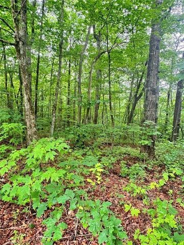 0 Highpointe Trail, Ellijay, GA 30536