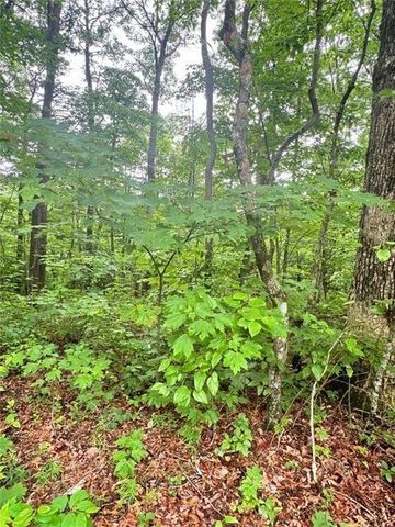 0 Highpointe Trail, Ellijay, GA 30536