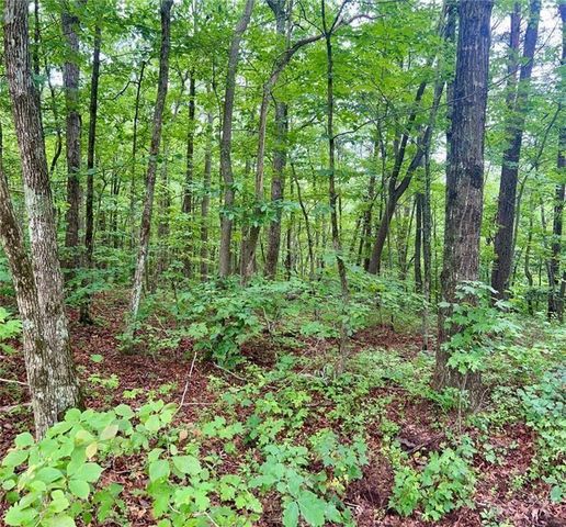 0 Highpointe Trail, Ellijay, GA 30536