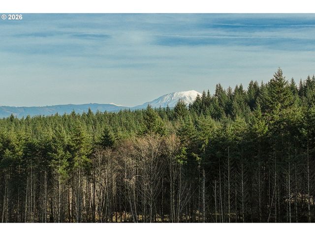 Silverwood Dr D2, Castle Rock, WA 98611