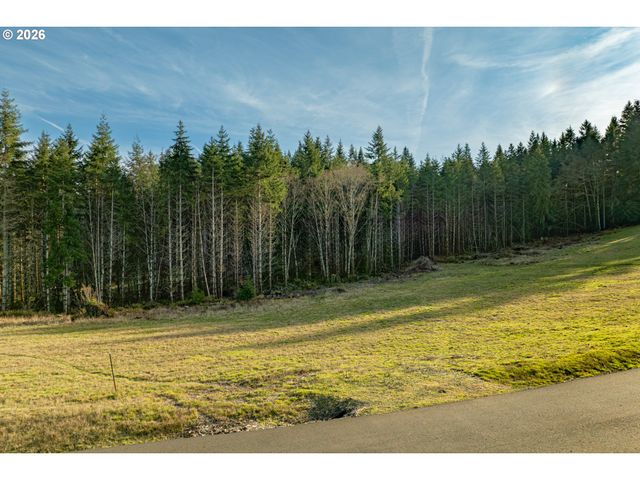 Silverwood Dr D2, Castle Rock, WA 98611