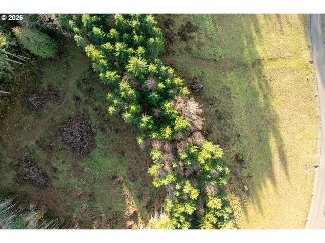 Silverwood Dr D2, Castle Rock, WA 98611