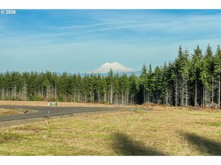 Silverwood Dr D2, Castle Rock, WA 98611