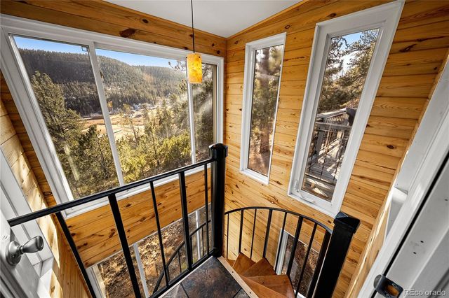 106 Elk Drive, Bailey, CO 80421