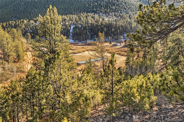 106 Elk Drive, Bailey, CO 80421