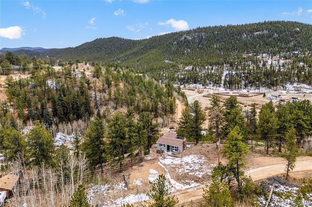 106 Elk Drive, Bailey, CO 80421