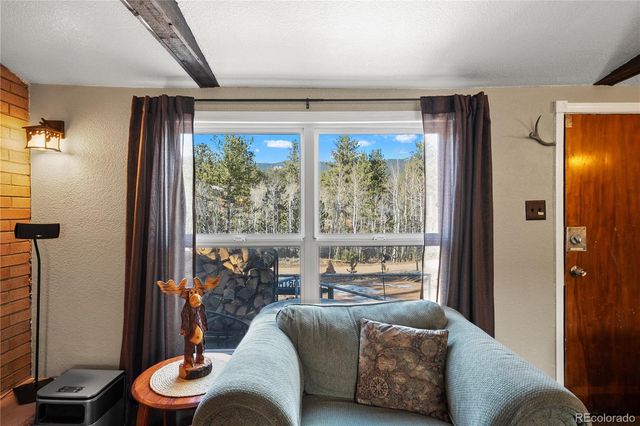 106 Elk Drive, Bailey, CO 80421