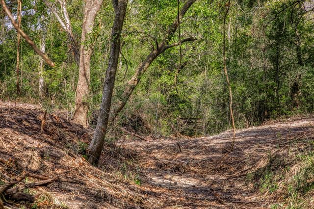 0000 Sun Oil Road, Brenham, TX 77833